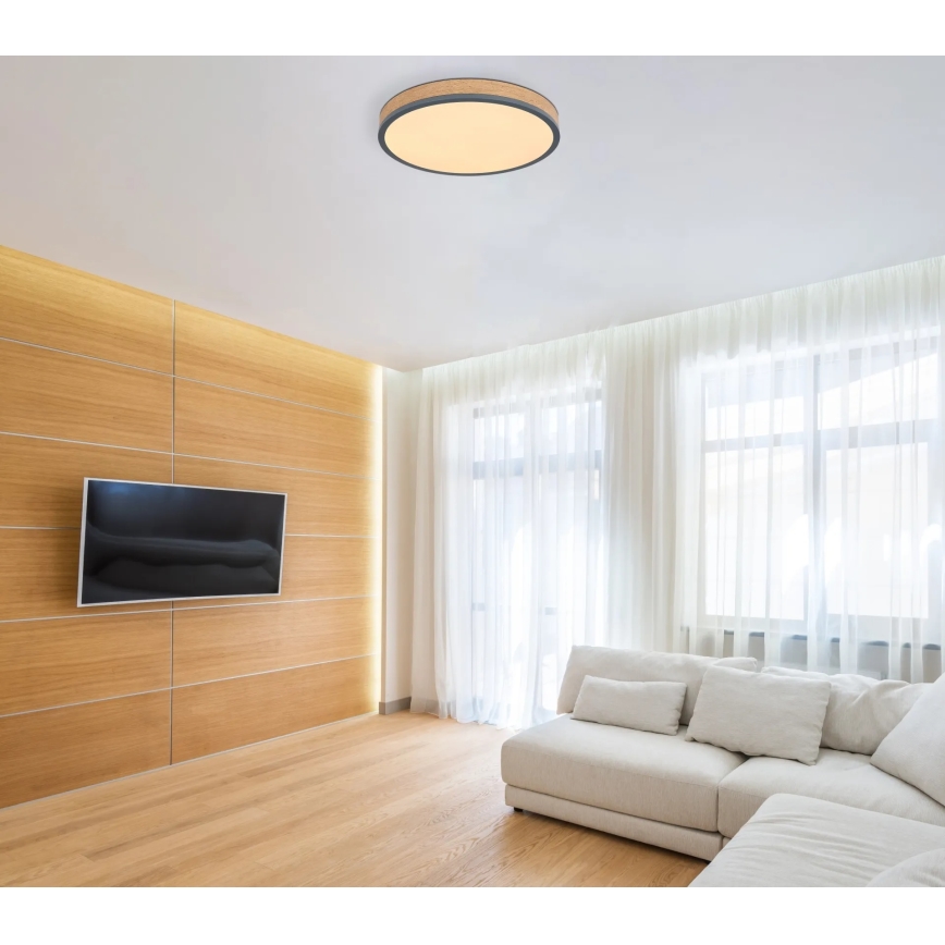 Globo - zatemnljiva LED stropna svetilka, 24 W, 230 V, 3000–6500 K, Ø 45 cm