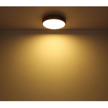 Globo - zatemnljiva LED stropna svetilka, 24 W, 230 V, 3000–6500 K, Ø 45 cm