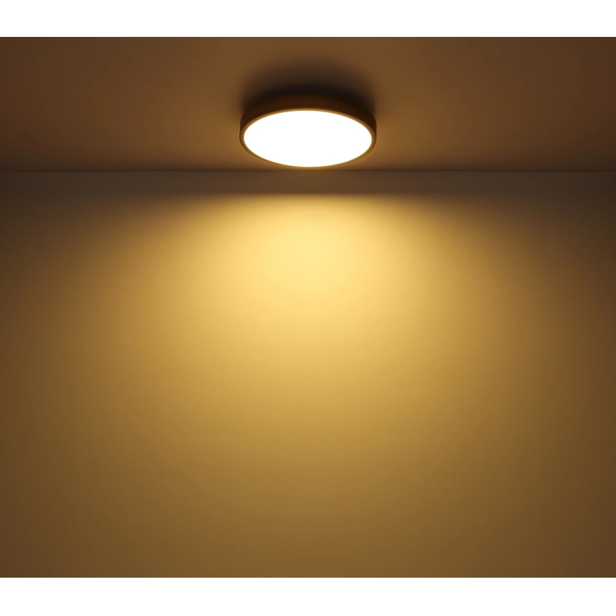 Globo - zatemnljiva LED stropna svetilka, 24 W, 230 V, 3000–6500 K, Ø 45 cm