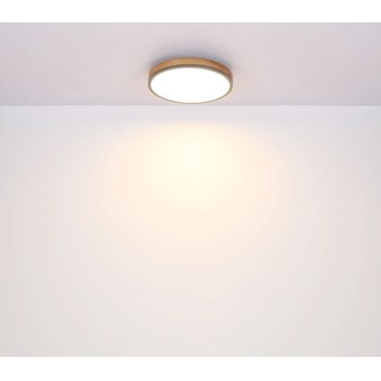 Globo - zatemnljiva LED stropna svetilka, 24 W, 230 V, 3000–6500 K, Ø 45 cm