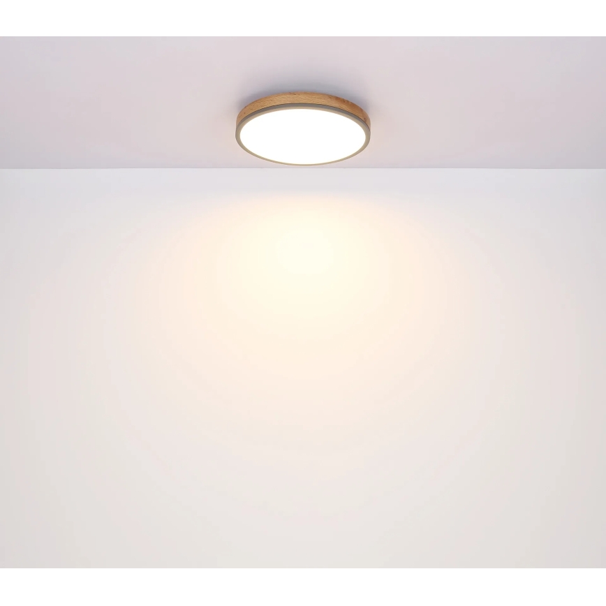 Globo - zatemnljiva LED stropna svetilka, 24 W, 230 V, 3000–6500 K, Ø 45 cm