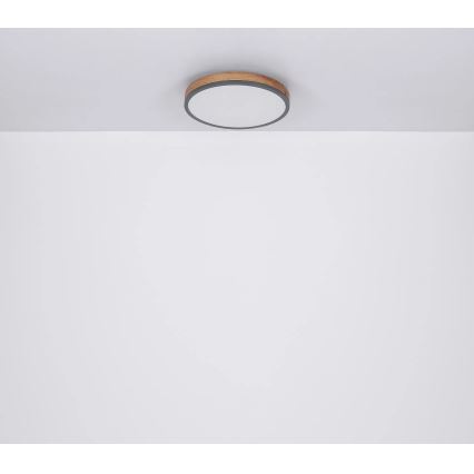 Globo - zatemnljiva LED stropna svetilka, 24 W, 230 V, 3000–6500 K, Ø 45 cm