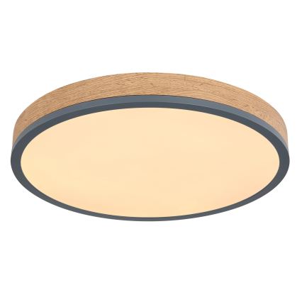 Globo - zatemnljiva LED stropna svetilka, 24 W, 230 V, 3000–6500 K, Ø 45 cm