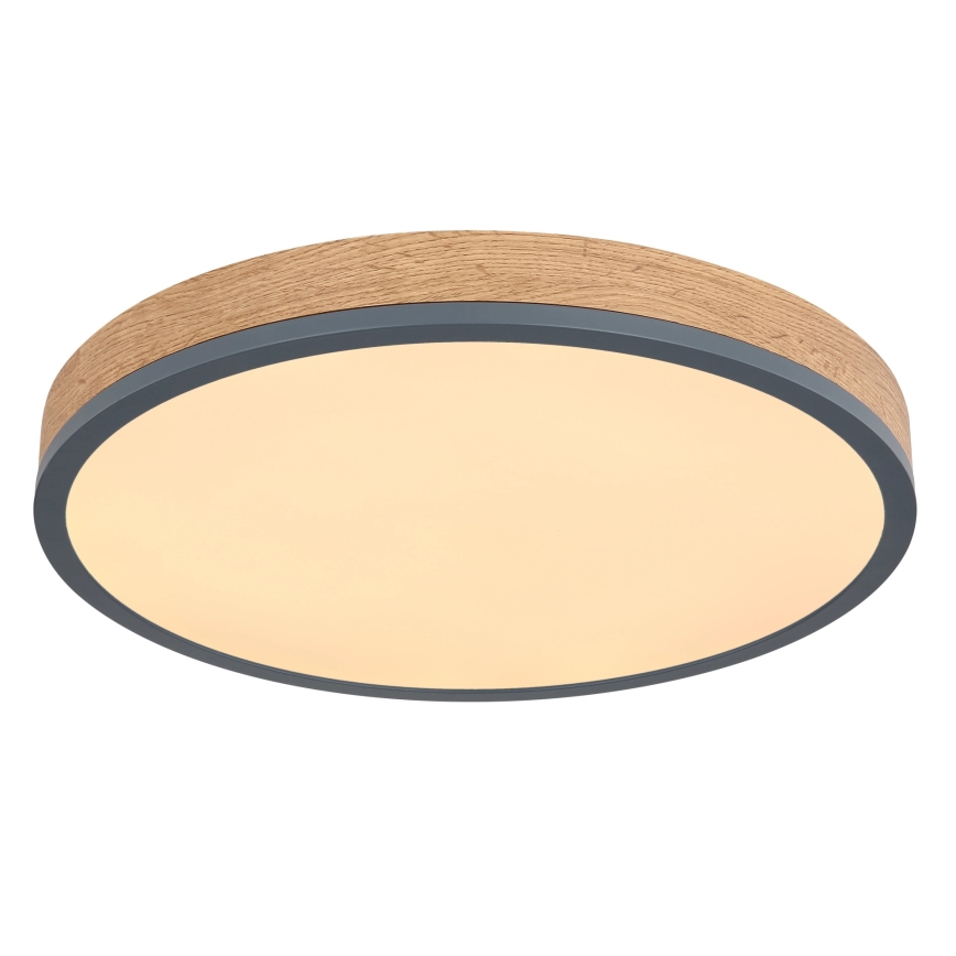 Globo - zatemnljiva LED stropna svetilka, 24 W, 230 V, 3000–6500 K, Ø 45 cm