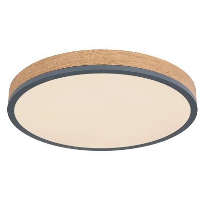 Globo - zatemnljiva LED stropna svetilka, 24 W, 230 V, 3000–6500 K, Ø 45 cm