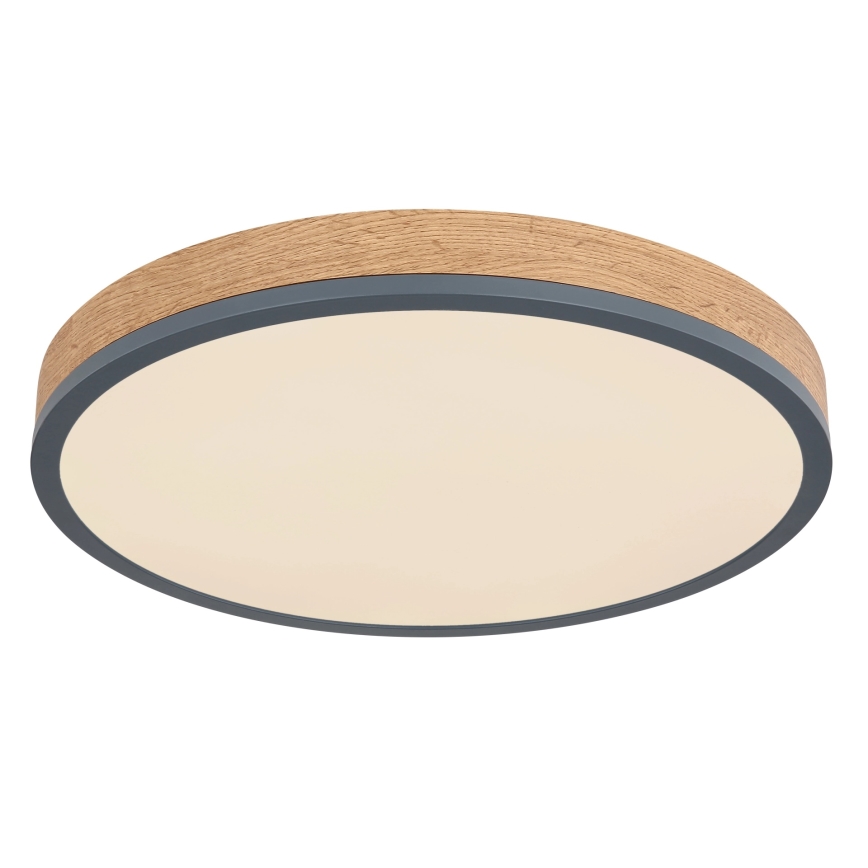Globo - zatemnljiva LED stropna svetilka, 24 W, 230 V, 3000–6500 K, Ø 45 cm
