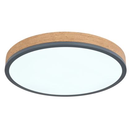 Globo - zatemnljiva LED stropna svetilka, 24 W, 230 V, 3000–6500 K, Ø 45 cm