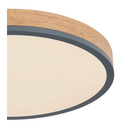 Globo - zatemnljiva LED stropna svetilka, 24 W, 230 V, 3000–6500 K, Ø 45 cm