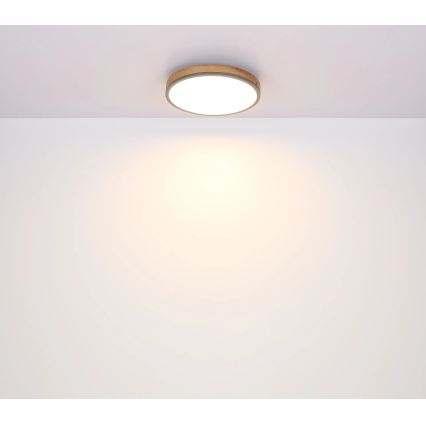 Globo - zatemnljivo LED stropno svetilo LED/24W/230V 2700-6500K premer 45 cm