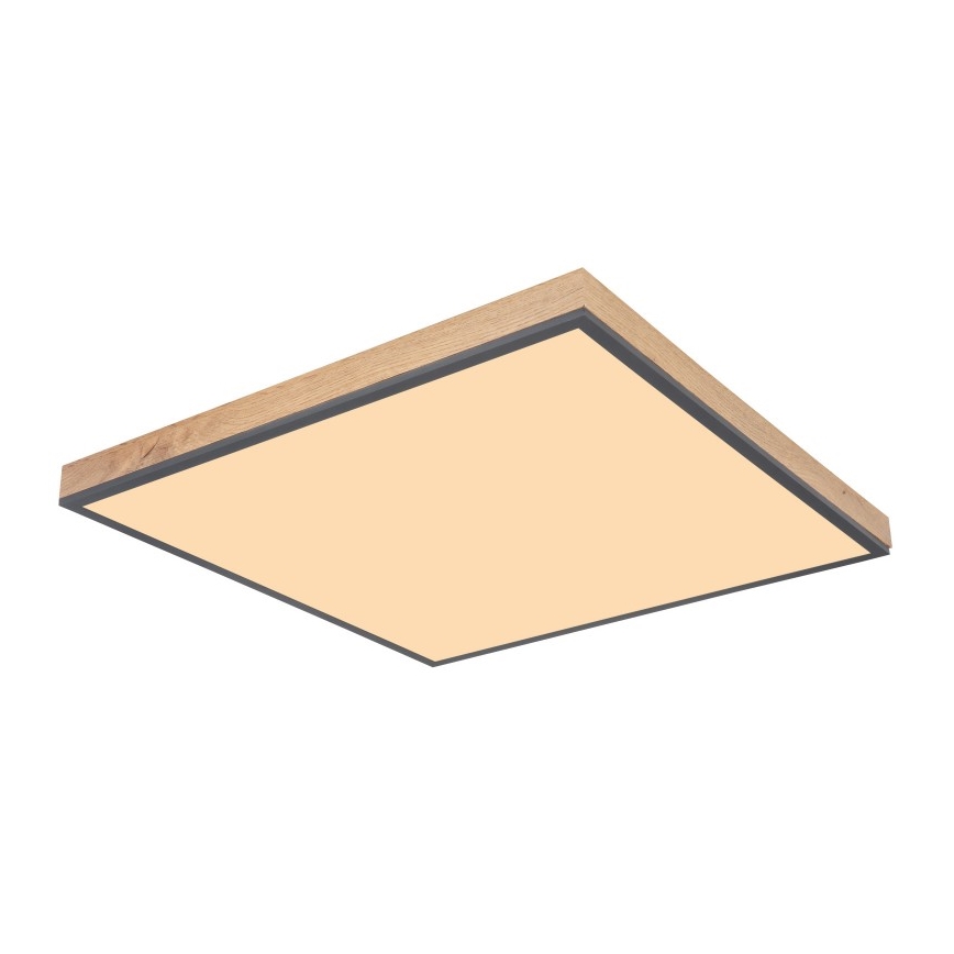 Globo - LED Stropna svetilka LED/36W/230V