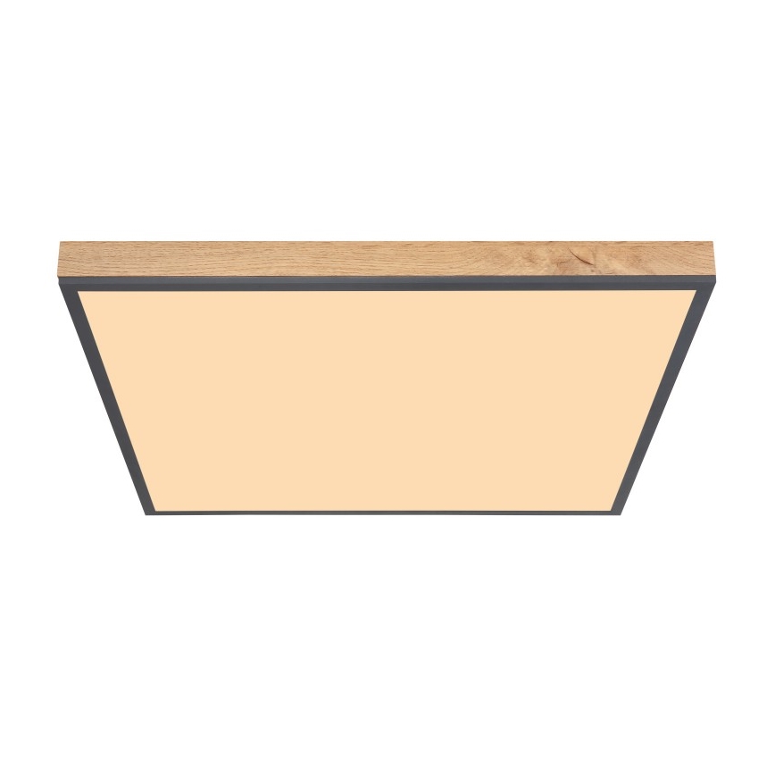 Globo - LED Stropna svetilka LED/36W/230V