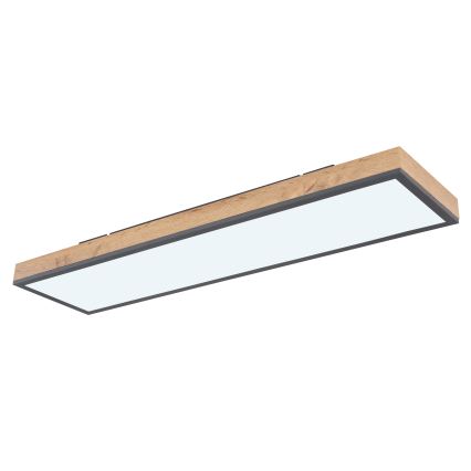 Globo - LED Zatemnitvena stropna svetilka LED/24W/230V 2700-6500K + Daljinski upravljalnik