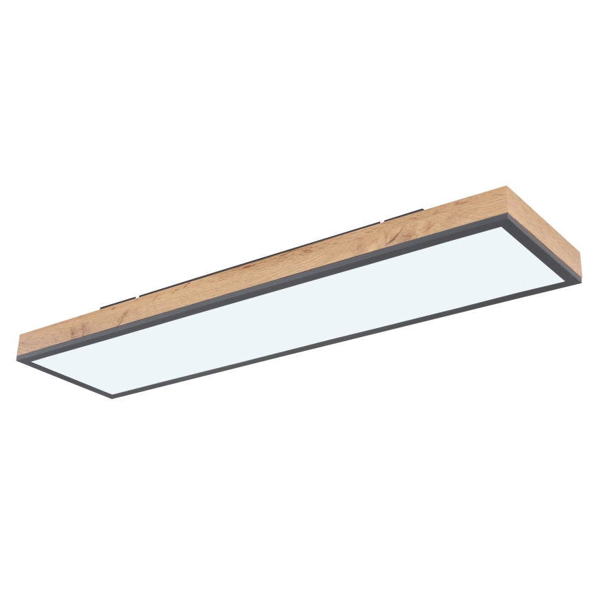 Globo - LED Zatemnitvena stropna svetilka LED/24W/230V 2700-6500K + Daljinski upravljalnik