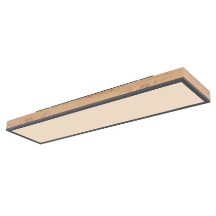 Globo - LED Zatemnitvena stropna svetilka LED/24W/230V 2700-6500K + Daljinski upravljalnik