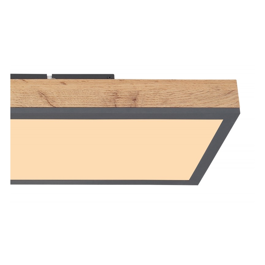 Globo - LED Stropna svetilka LED/24W/230V