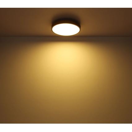 Globo - LED Zatemnitvena stropna svetilka LED/40W/230V 2700-6500K pr. 60 cm + Daljinski upravljalnik rjava/siva