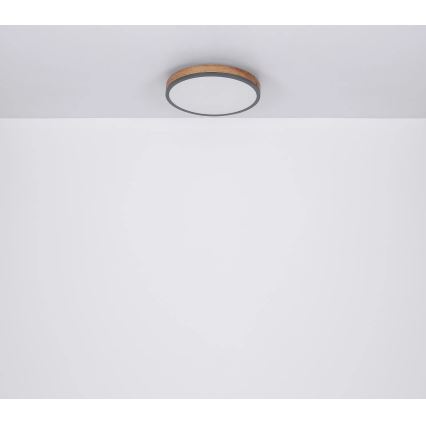 Globo - LED Zatemnitvena stropna svetilka LED/40W/230V 2700-6500K pr. 60 cm + Daljinski upravljalnik rjava/siva
