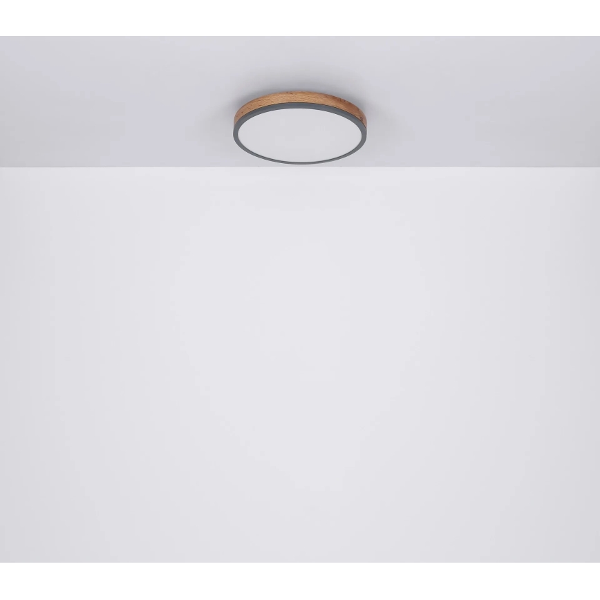 Globo - LED Zatemnitvena stropna svetilka LED/40W/230V 2700-6500K pr. 60 cm + Daljinski upravljalnik rjava/siva