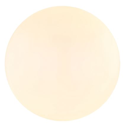 Globo - LED Stropna svetilka LED/18W/230V