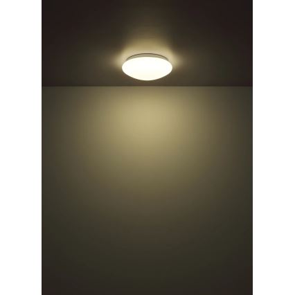 Globo - stropna LED svetilka 12 W/230 V, 4000 K, Ø 25,4 cm