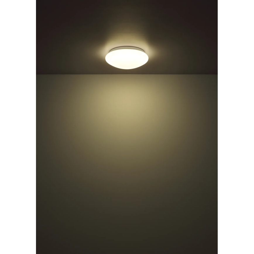 Globo - stropna LED svetilka 12 W/230 V, 4000 K, Ø 25,4 cm