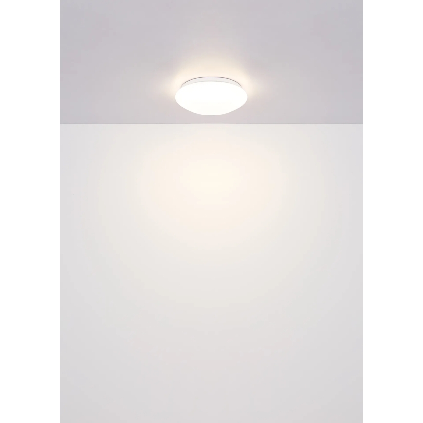 Globo - stropna LED svetilka 12 W/230 V, 4000 K, Ø 25,4 cm