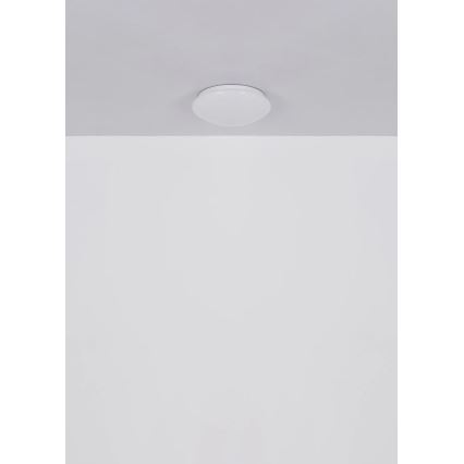 Globo - stropna LED svetilka 12 W/230 V, 4000 K, Ø 25,4 cm