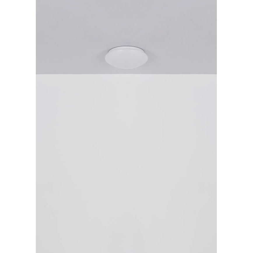 Globo - stropna LED svetilka 12 W/230 V, 4000 K, Ø 25,4 cm
