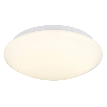 Globo - stropna LED svetilka 12 W/230 V, 4000 K, Ø 25,4 cm