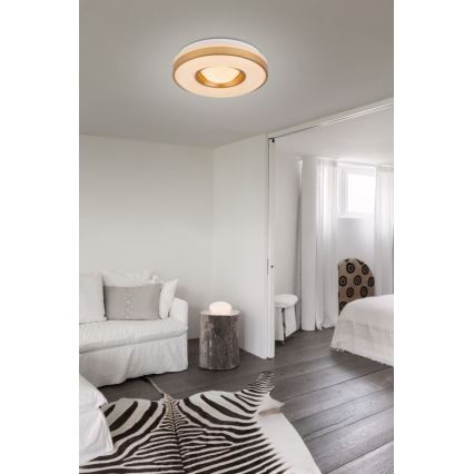 Globo - LED Stropna svetilka LED/24W/230V