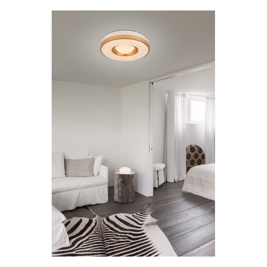 Globo - LED Stropna svetilka LED/24W/230V