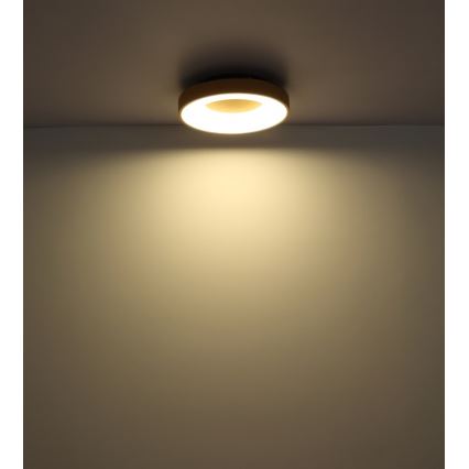 Globo - LED Zatemnitvena stropna svetilka LED/30W/230V + Daljinski upravljalnik
