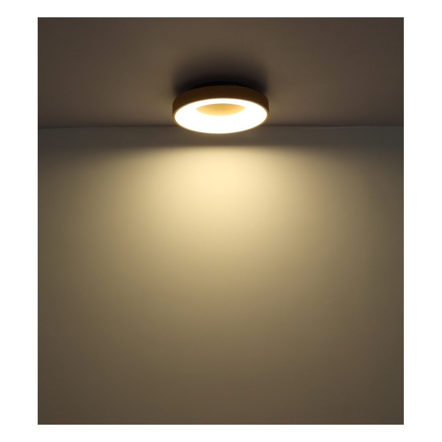 Globo - LED Zatemnitvena stropna svetilka LED/30W/230V + Daljinski upravljalnik