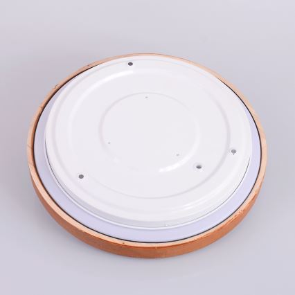 Globo - LED Stropna svetilka LED/12W/230V 307 mm 3000/4500/6000K