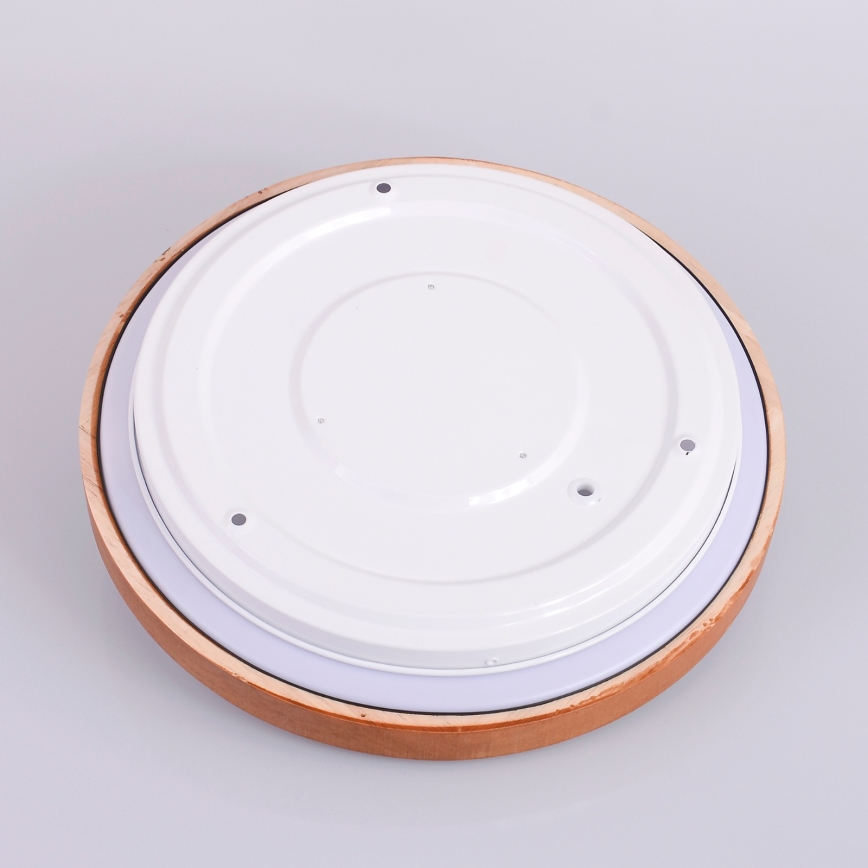 Globo - LED Stropna svetilka LED/12W/230V 307 mm 3000/4500/6000K