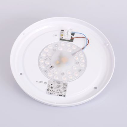 Globo - LED Stropna svetilka LED/12W/230V 307 mm 3000/4500/6000K