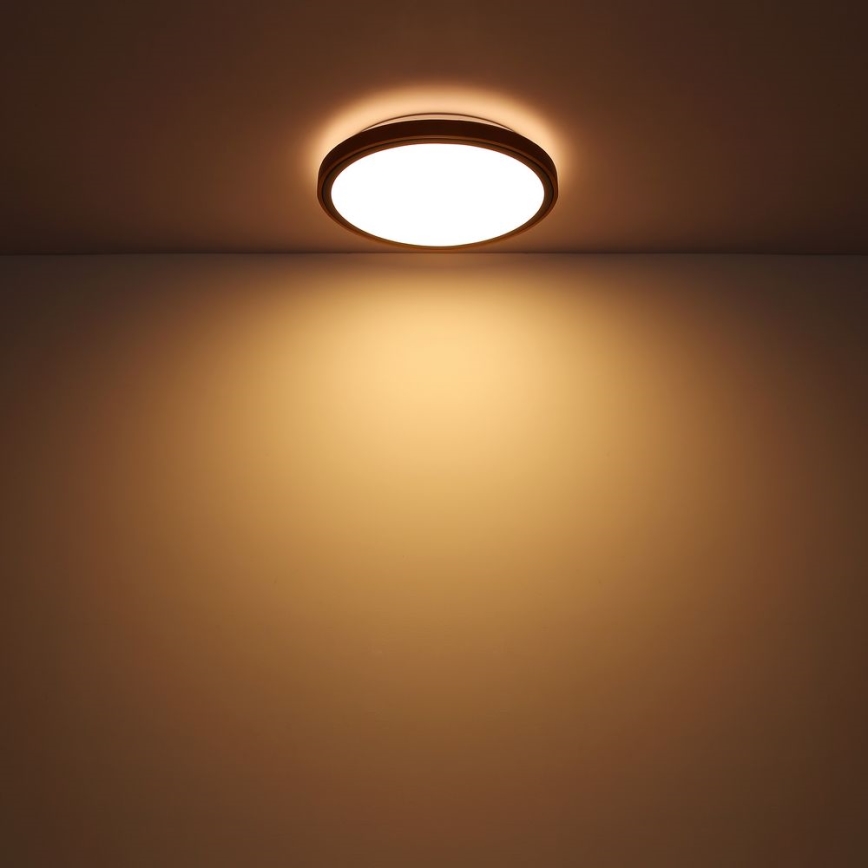 Globo - LED Stropna svetilka LED/12W/230V 307 mm 3000/4500/6000K