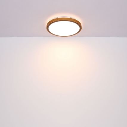 Globo - LED Stropna svetilka LED/12W/230V 307 mm 3000/4500/6000K
