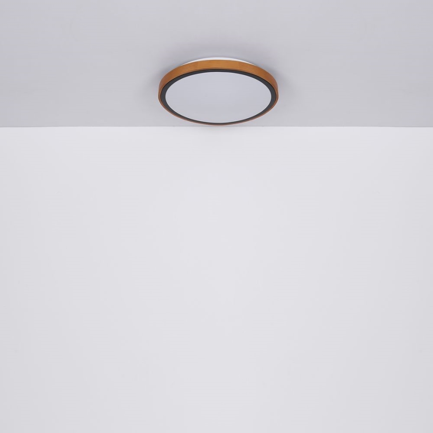 Globo - LED Stropna svetilka LED/12W/230V 307 mm 3000/4500/6000K