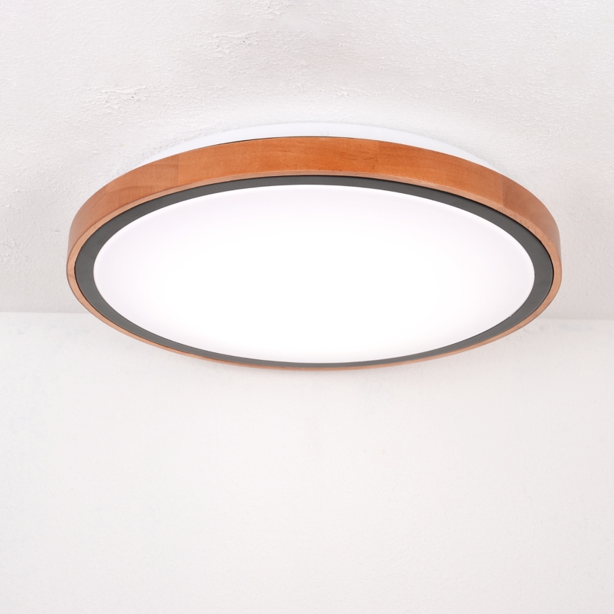 Globo - LED Stropna svetilka LED/24W/230V 3000/4500/6000K pr. 43,7 cm