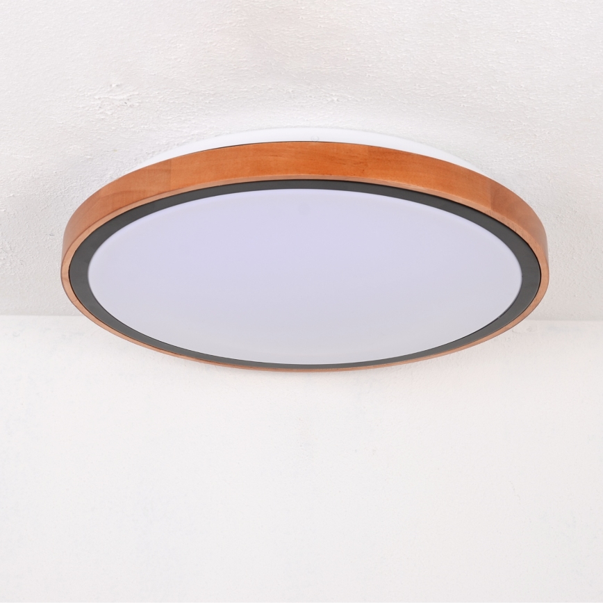 Globo - LED Stropna svetilka LED/24W/230V 3000/4500/6000K pr. 43,7 cm