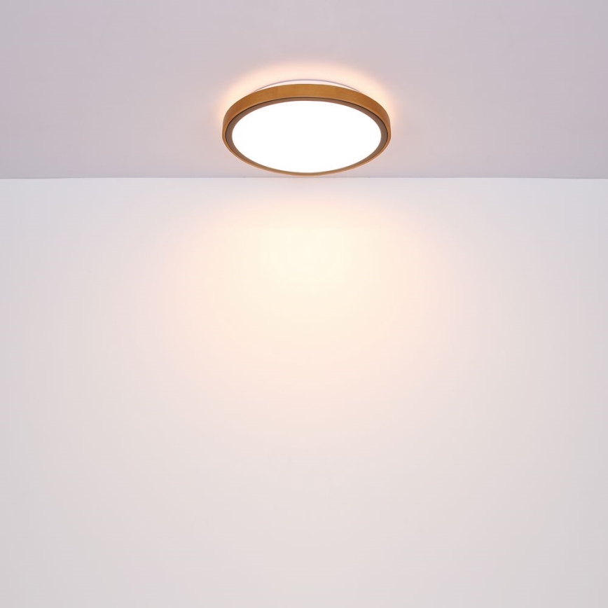 Globo - LED Stropna svetilka LED/24W/230V 3000/4500/6000K pr. 43,7 cm