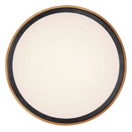 Globo - LED Stropna svetilka LED/24W/230V 3000/4500/6000K pr. 43,7 cm