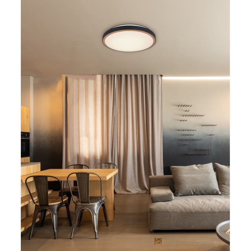 Globo - LED Stropna svetilka LED/24W/230V 3000/4500/6000K pr. 42 cm
