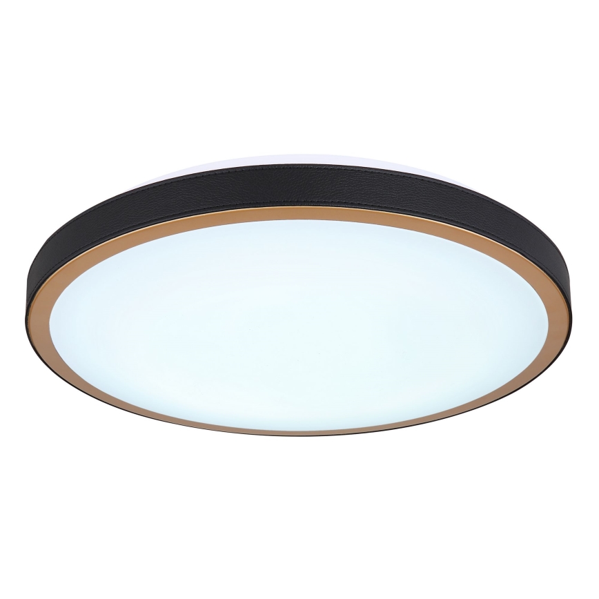 Globo - LED Stropna svetilka LED/24W/230V 3000/4500/6000K pr. 42 cm