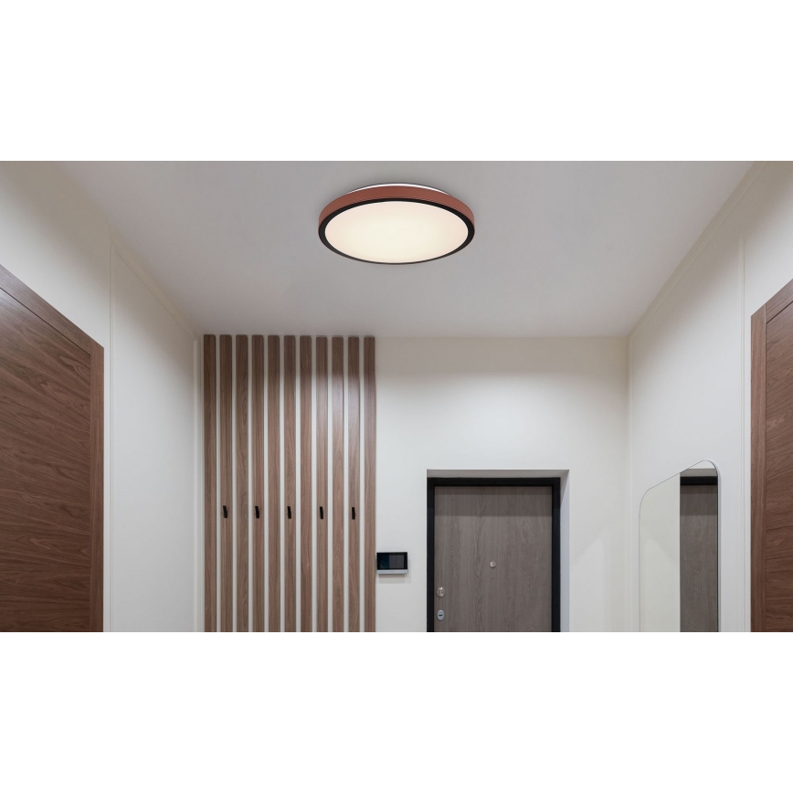Globo - LED Stropna svetilka LED/24W/230V 3000/4500/6000K pr. 42 cm