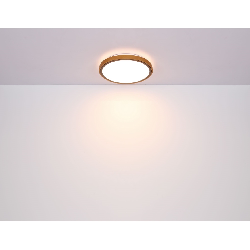 Globo - LED Stropna svetilka LED/24W/230V 3000/4500/6000K pr. 42 cm