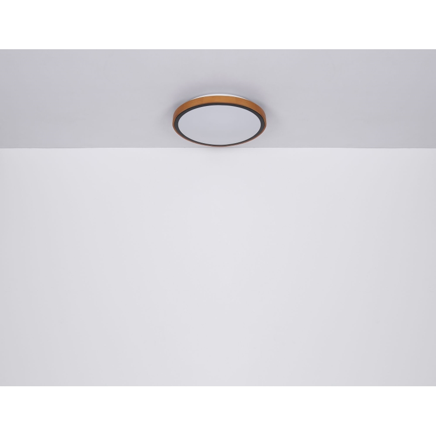 Globo - LED Stropna svetilka LED/24W/230V 3000/4500/6000K pr. 42 cm