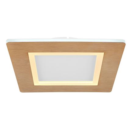 Globo - LED Stropna svetilka LED/23W/230V 2700/6500K
