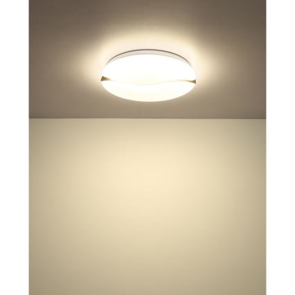 Globo - LED Stropna svetilka LED/24W/230V 3000/4200/6000K pr. 33 cm